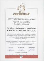 Certifikát o vytvoření rekordu v Setkání Jeníčků a Mařenek 2005